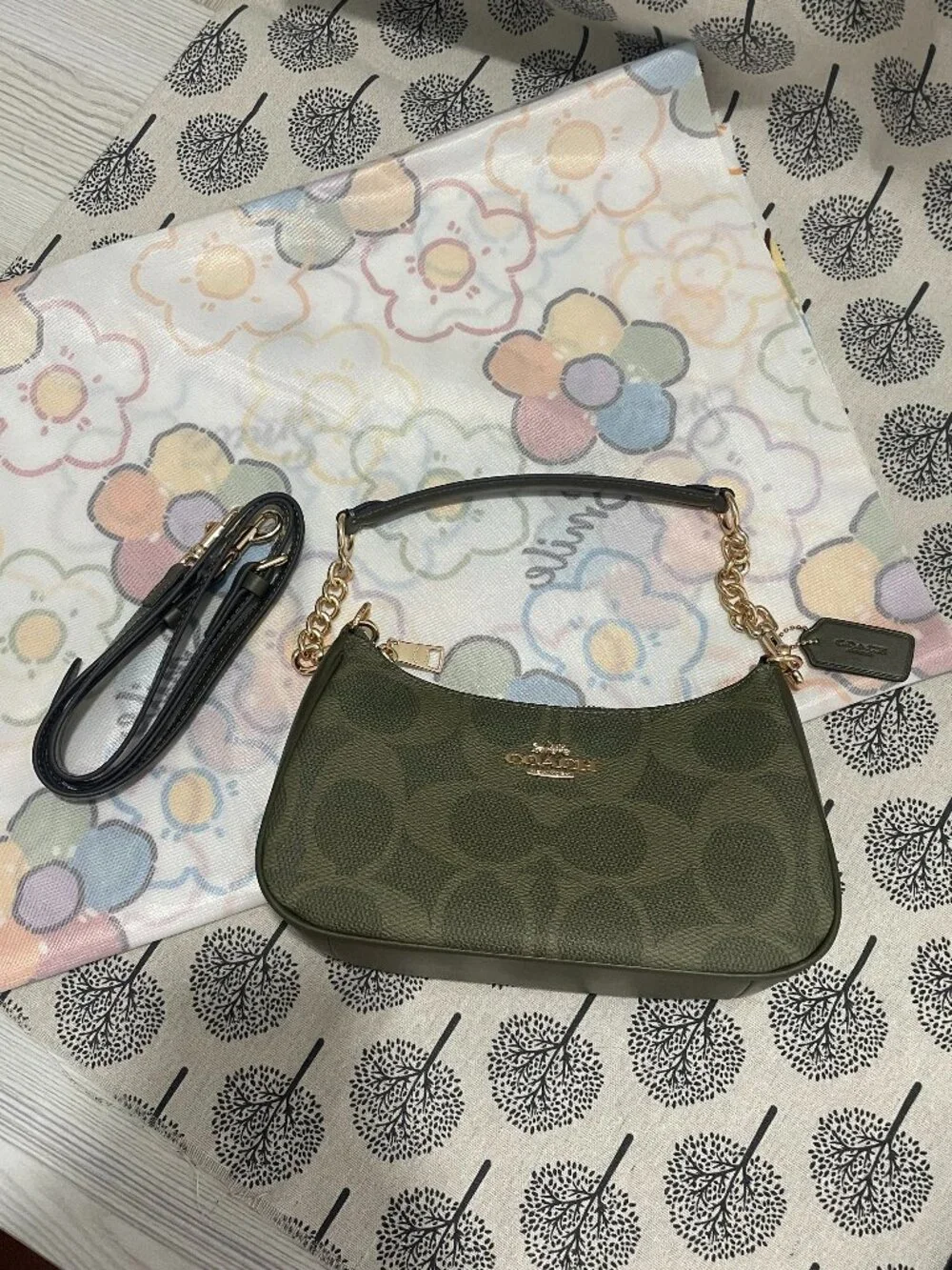 Coach Teri Mini Green Shoulder Bag